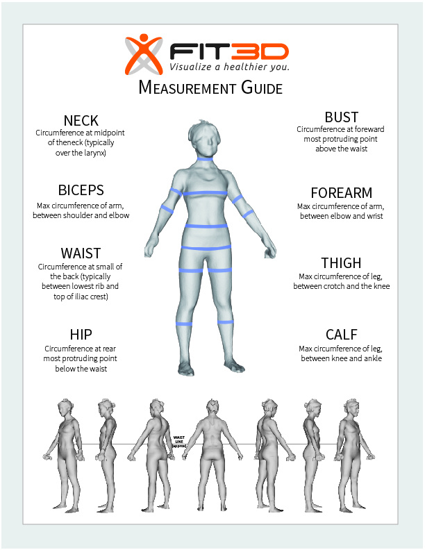 Types of Body Composition - Primo Fitness